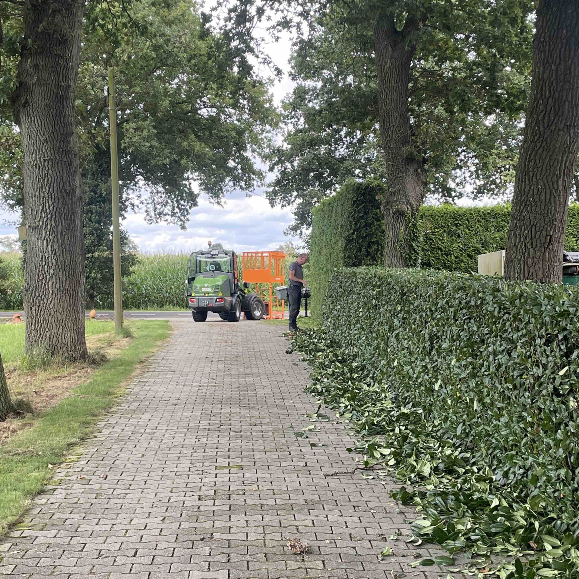 Gartenpflege